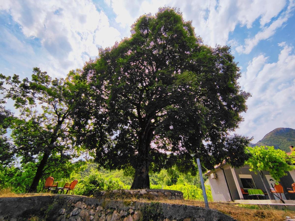 Celtis Shade House Villa Virpazar Eksteriør bilde